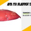 tangki air bantal, pillow tank